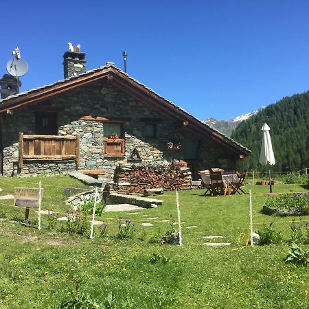 Chalet Gorret Cheneil Valtournenche Exterior foto